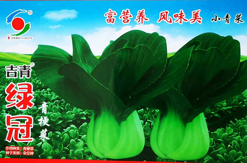 Jiqing Lvguan——Green Pakchoi